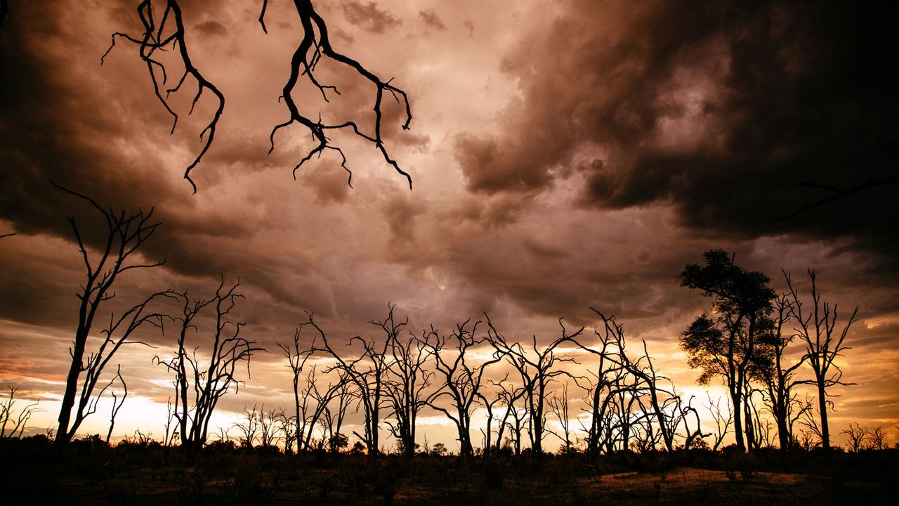 Okavango Delta sunset