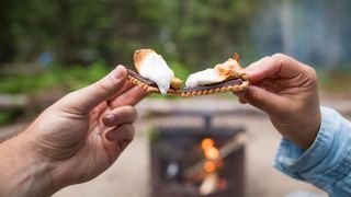 Two hands cheersing camping smores