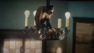 Monkey on chandelier in The Fabelmans