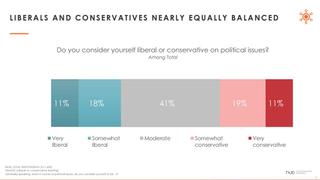 Hub Research political balance chart