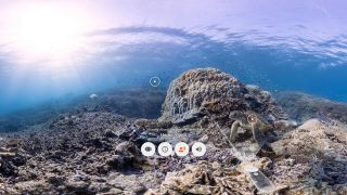 Google Expeditions