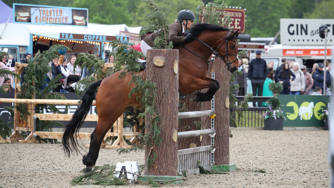 Royal Windsor M&amp;amp;M working hunter pony