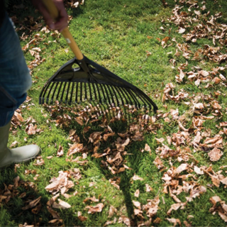 Person with rake cleaning garden