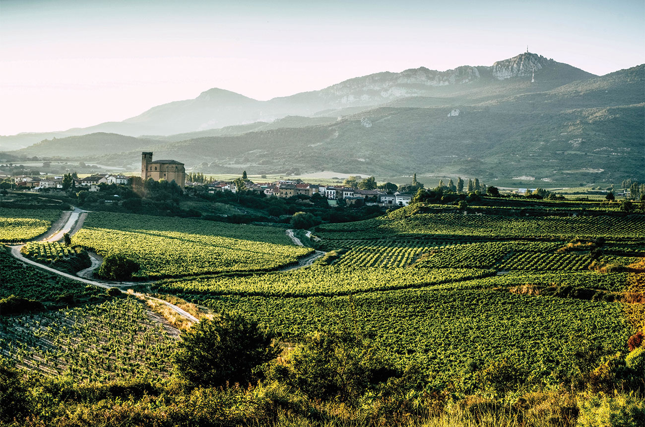 Remirez de Ganuza vineyard