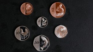 The new UK coins showing six designs, including a squirrell, bird, plant and Atlantic salmon
