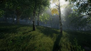 Unity; a forest rendered using CG software Unity