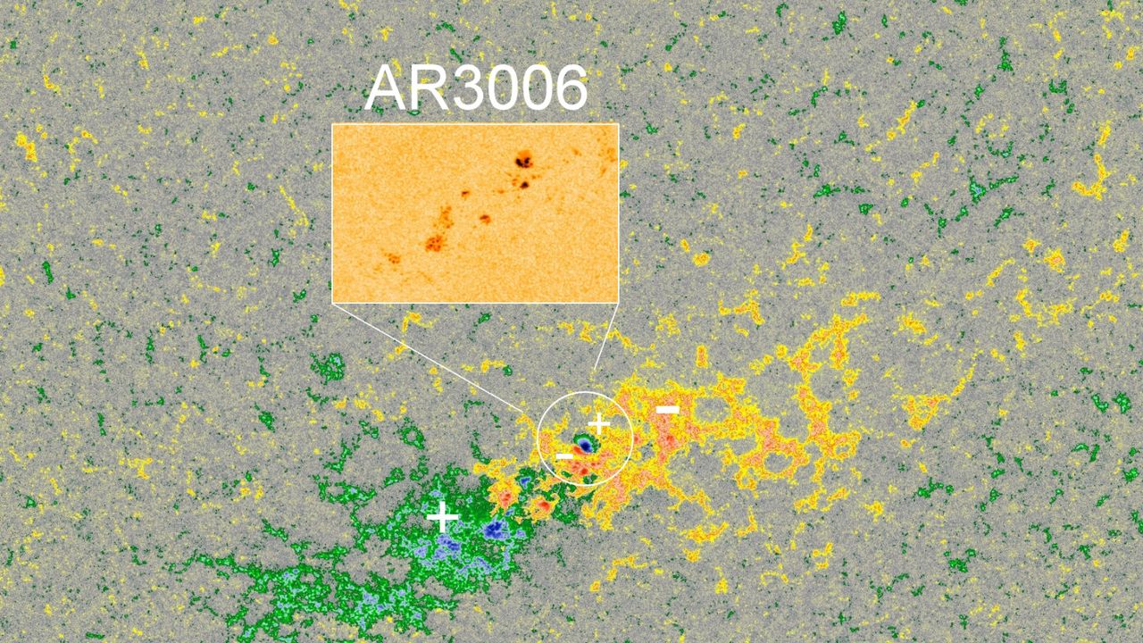 The sunspot region known as AR3006 has an area of a reversed magnetic polarity near its center, a phenomenon that can result in increased solar flare activity.