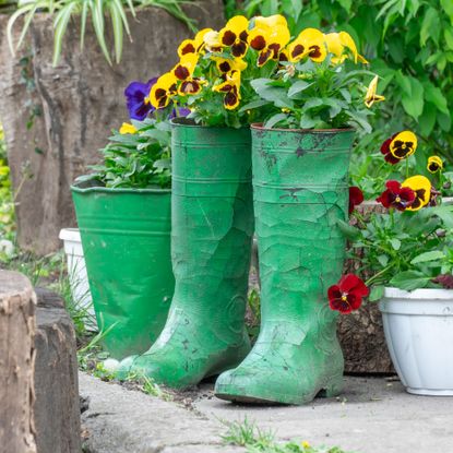 creative containers with wellies filled with pansies