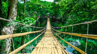 Bridge over river in jungle