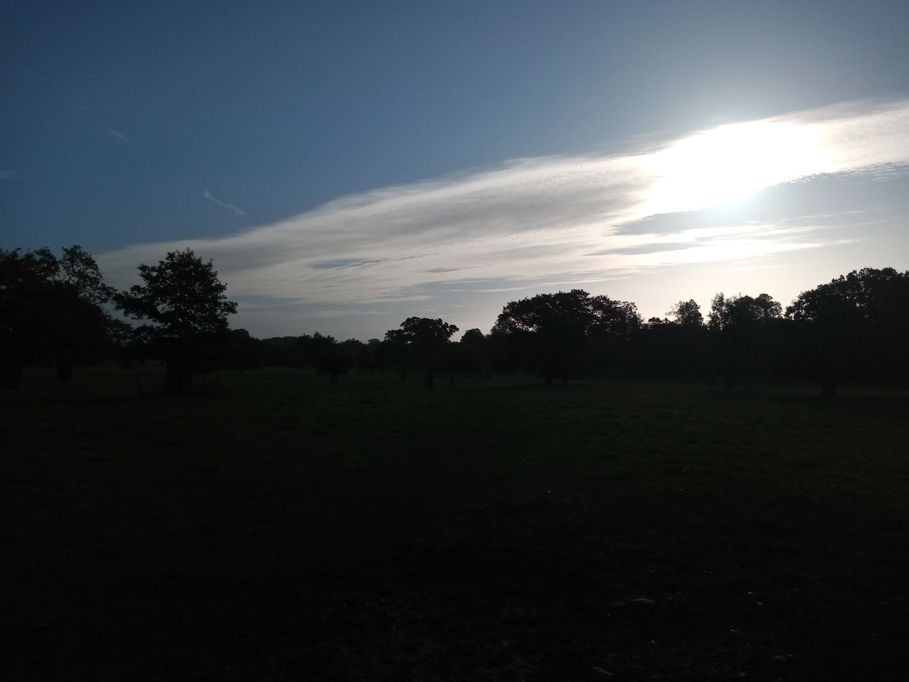 The dynamic range is generally narrow.