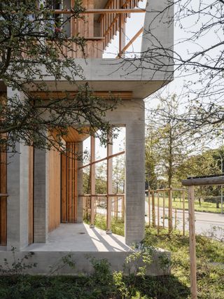 Herzog& de Meuron Children's Hospital in Zurich timber building interior and exterior engulfed in foliage