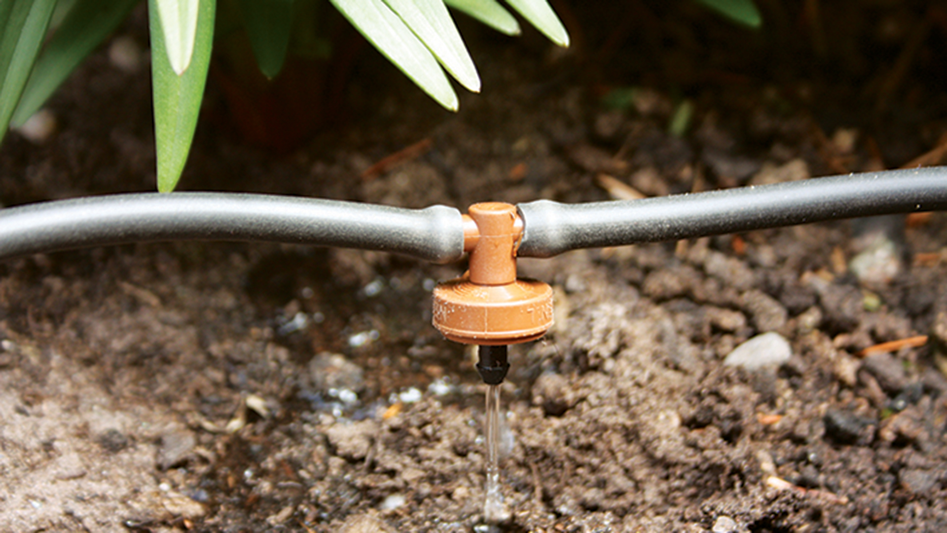Drip irrigation watering system