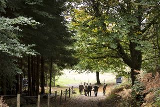 shooting school at the Cowdray Estate