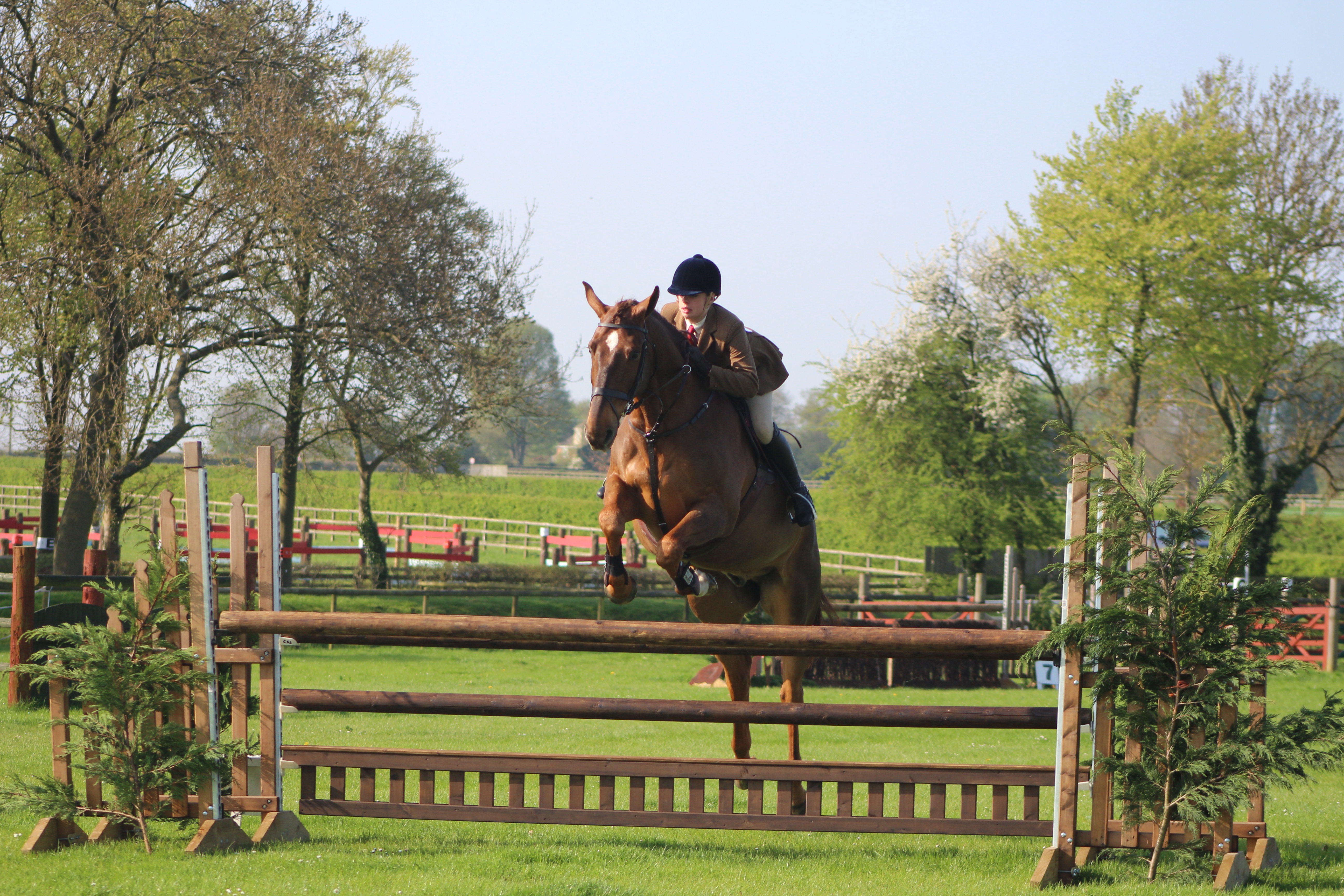 Eleanor Hirst on Lislan Defi. RIHS working hunter winners