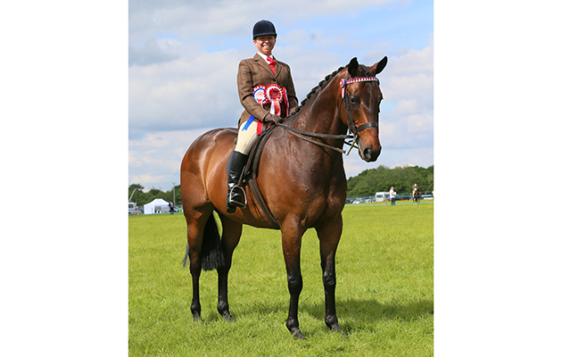 RIDING HORSE CHAMPIONSHIP CHAMPION 239 CARAHOUSE BEYOND SUSPICION Leigh Anne McNamee-Sloggett