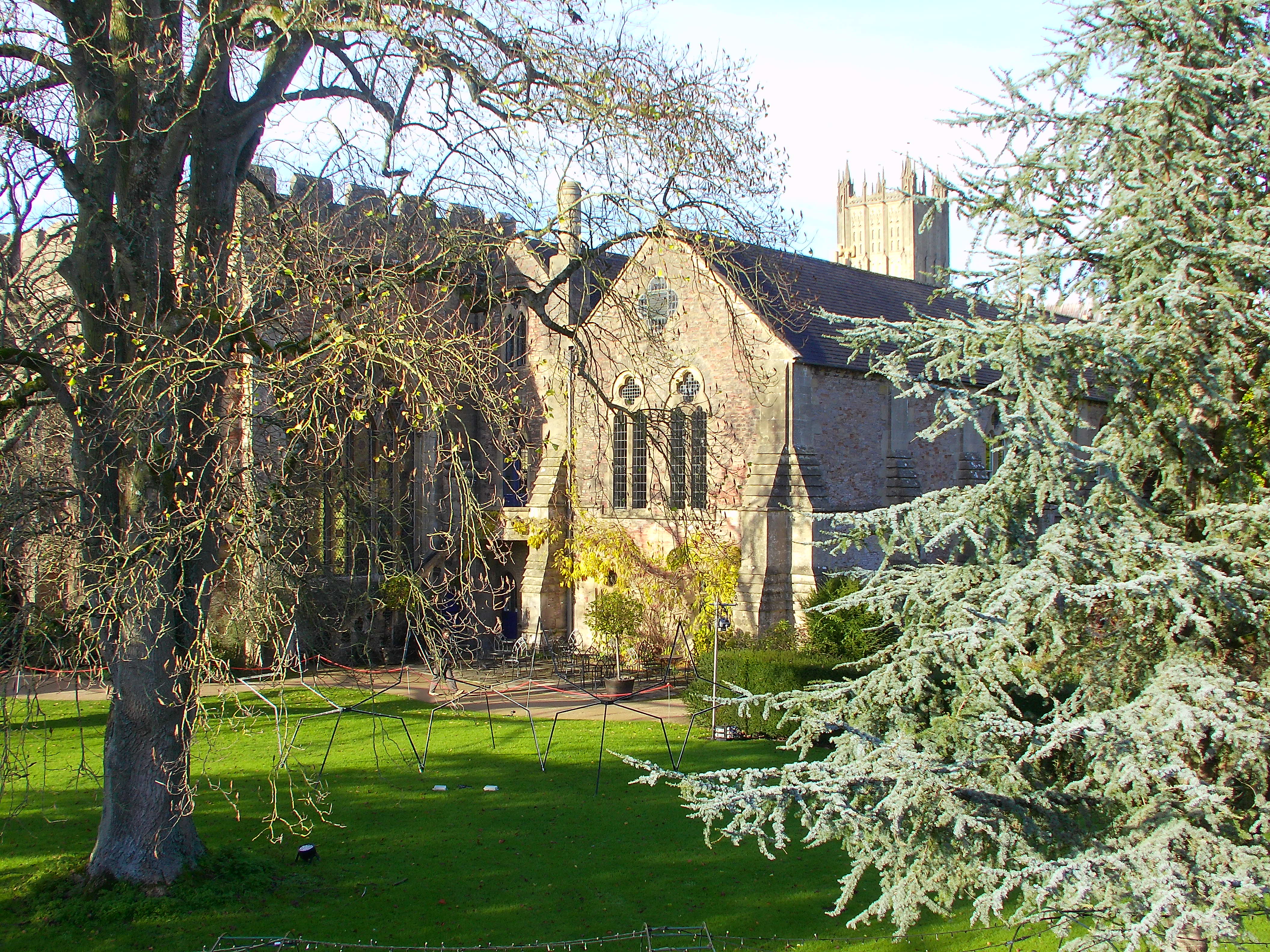 Yashica City 200 example shot