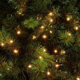 Warm LED Christmas lights on tree