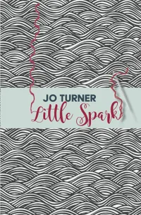 4. Little Spark by Jo Turner