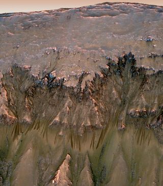 This image combining orbital imagery with 3-D modeling shows flows that appear in spring and summer on a slope inside Mars' Newton crater.