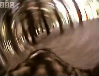 Screenshot from footage of a goshawk flying through a dense forest. Credit: BBC