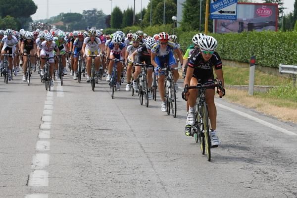An attack draws reactions from others in the bunch.