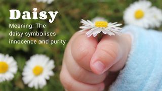 Baby holding a daisy