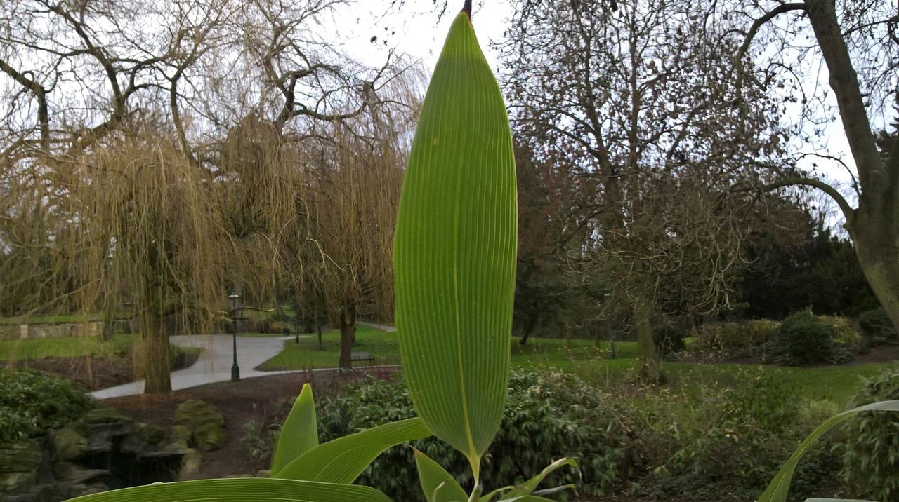 Lumia 550 camera sample