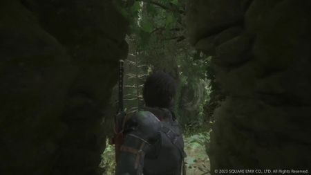 A Final Fantasy 16 squeeze hole