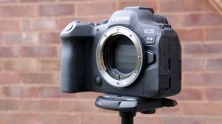 Canon EOS R6 II on a tripod outside with no lens and sensor protector active