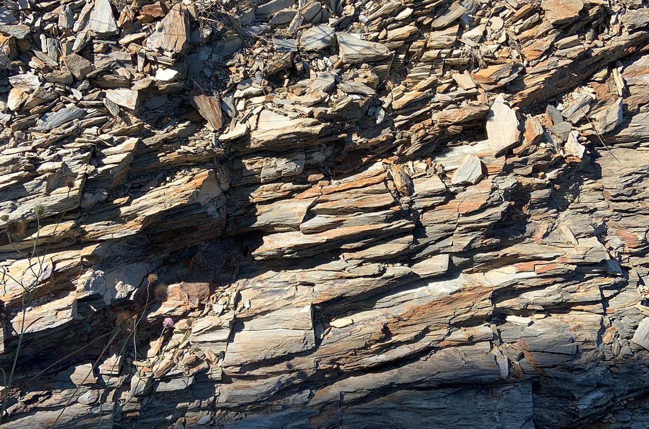 Faug&amp;egrave;res latest releases