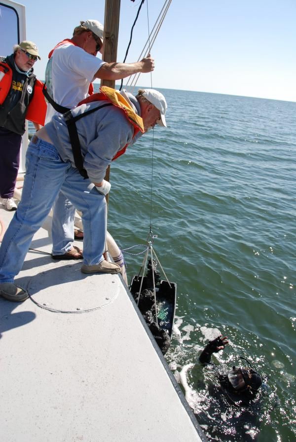 In Images: Divers Explore Pirate Ship Queen Anne's Revenge | Live Science