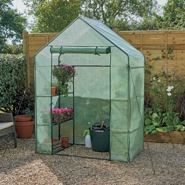 Best mini greenhouse find the perfect design for your small space