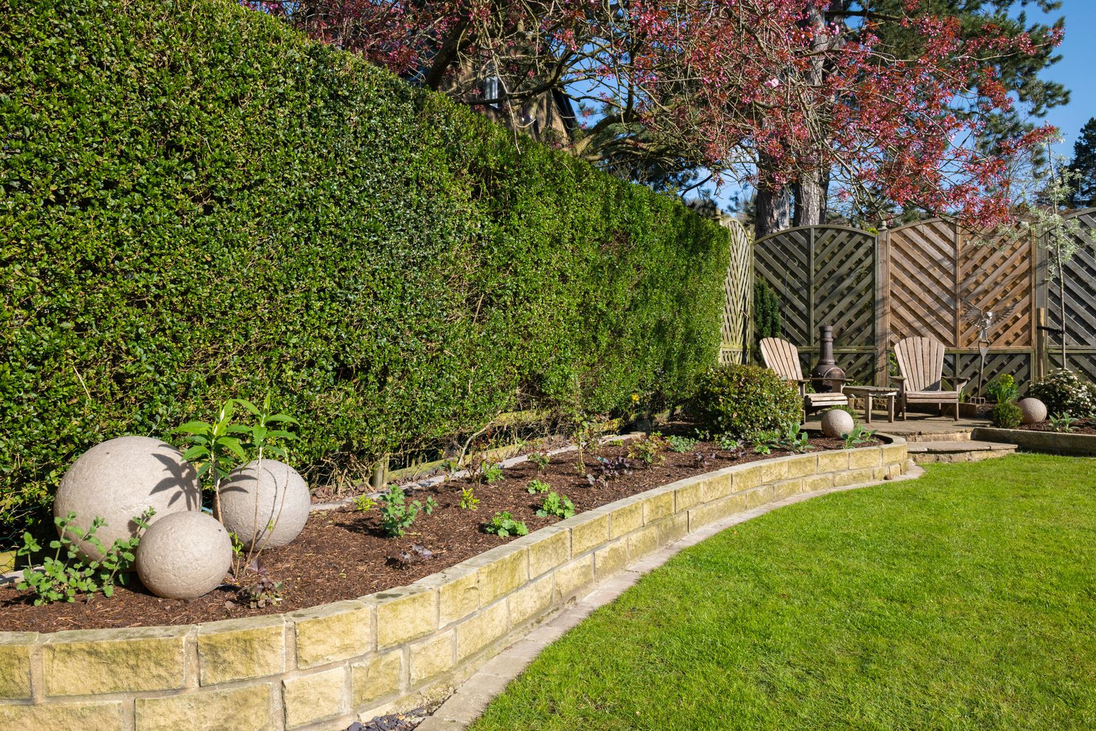 How to trim a hedge everything you need to know Gardeningetc