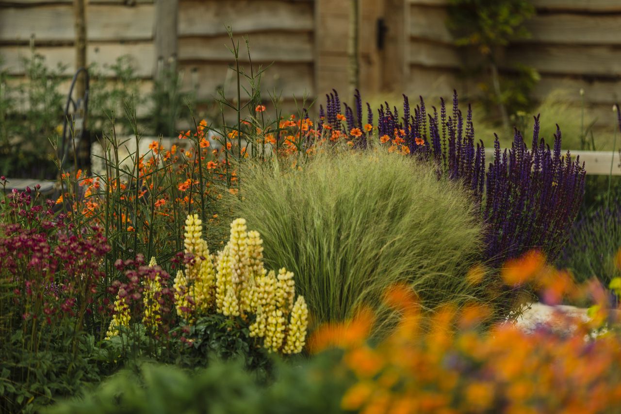 How to choose a colour scheme for your garden | Real Homes