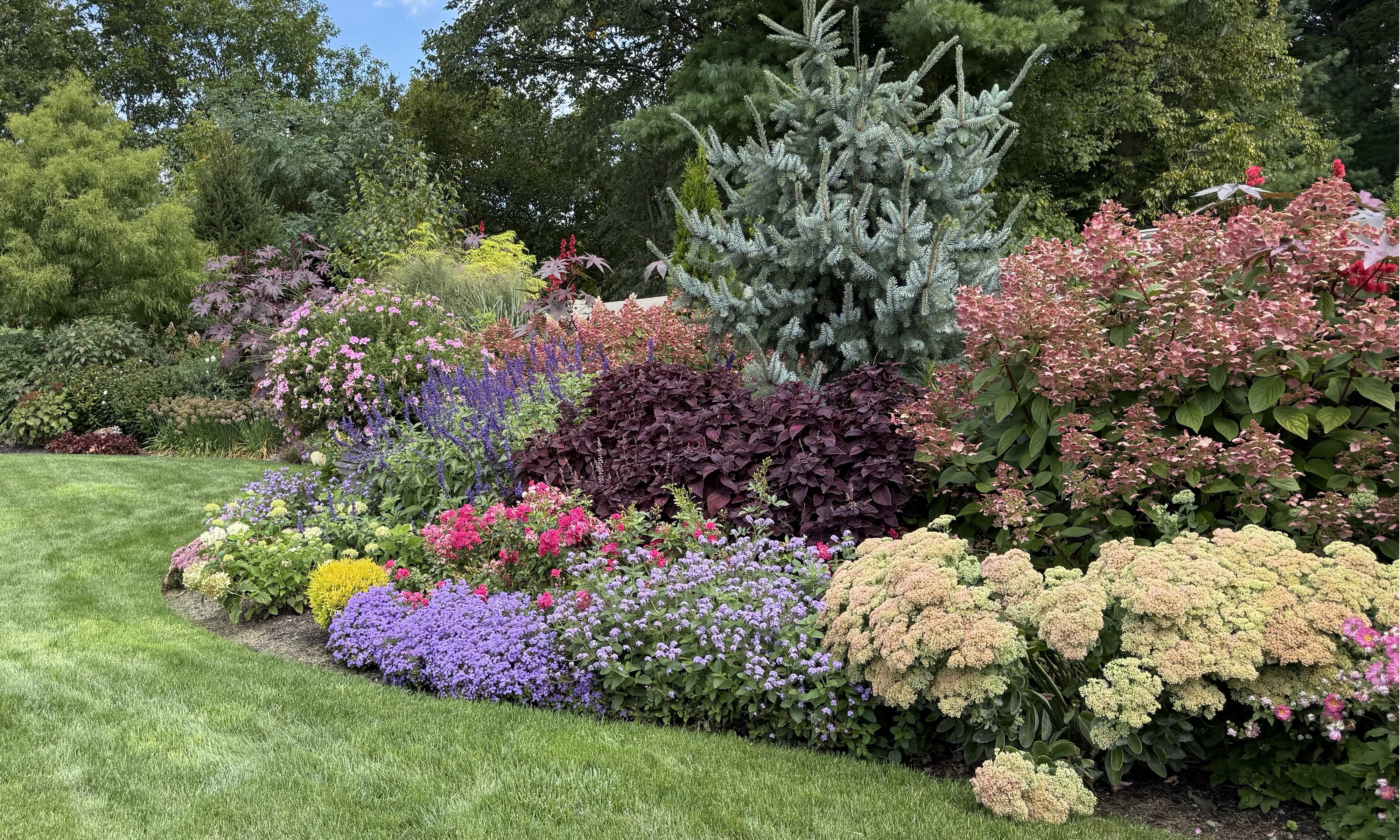 Grow For Me Gardening mixed border in bloom