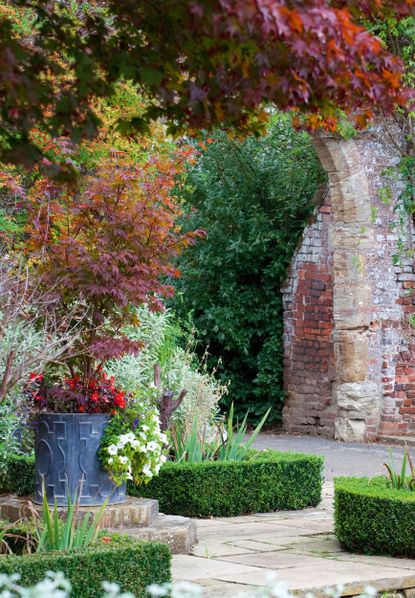 Autumn plants: the best plants to add seasonal colour | Real Homes