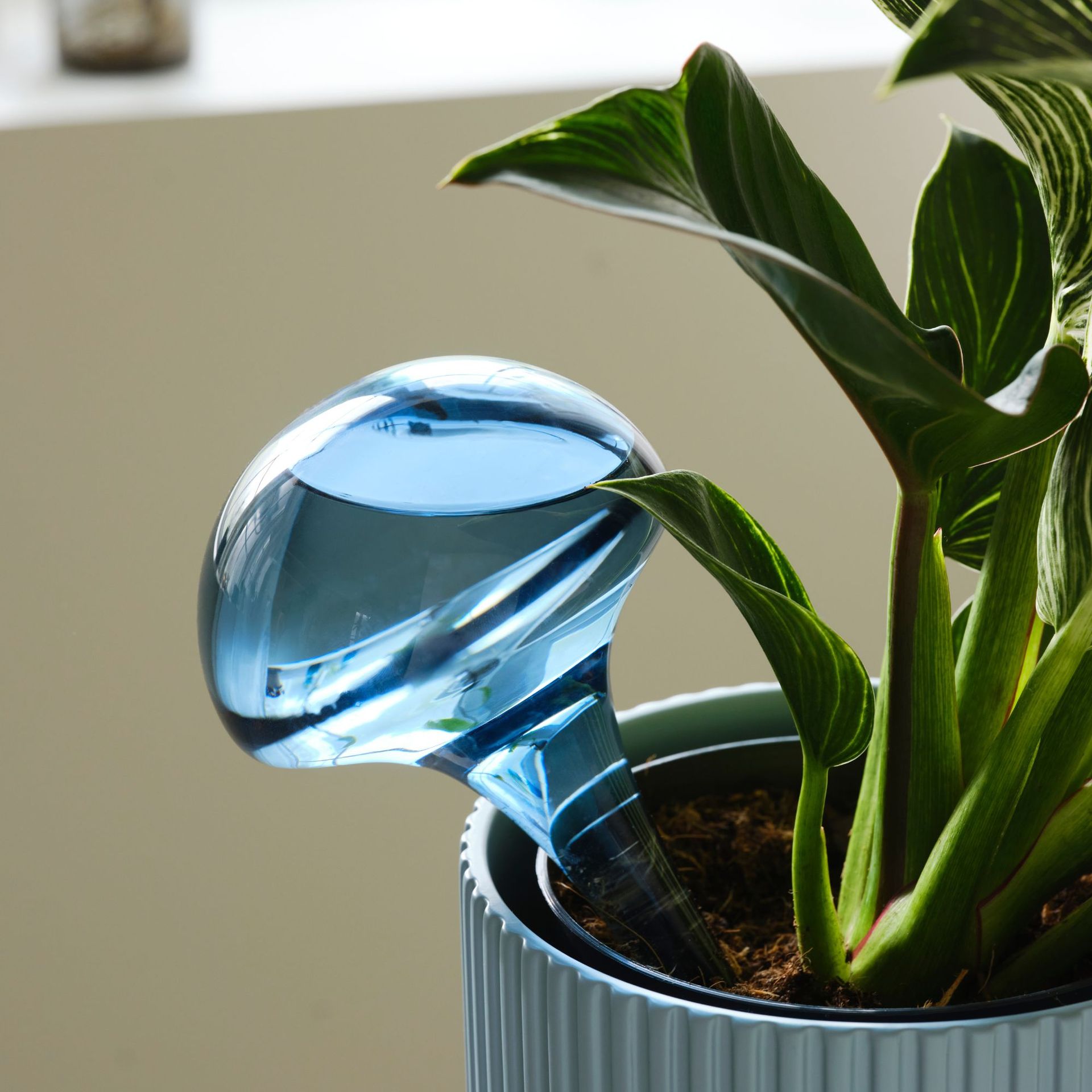 DAKSJUS Self-watering insert