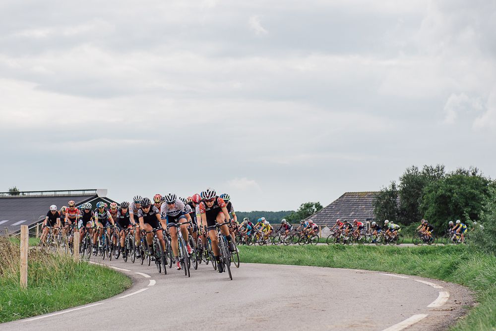 The peloton winds its way through the Dutch countryside.
