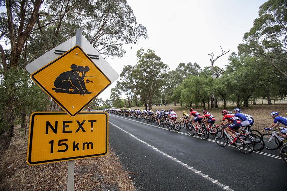 Aussie racing