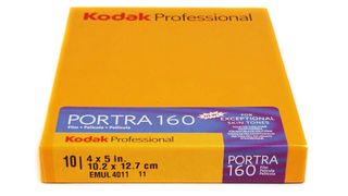 Kodak Portra 160 4" x 5" (10 Sheets)