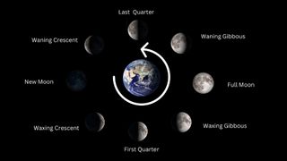 The phases of the moon leading up to and away from the last quarter phase.