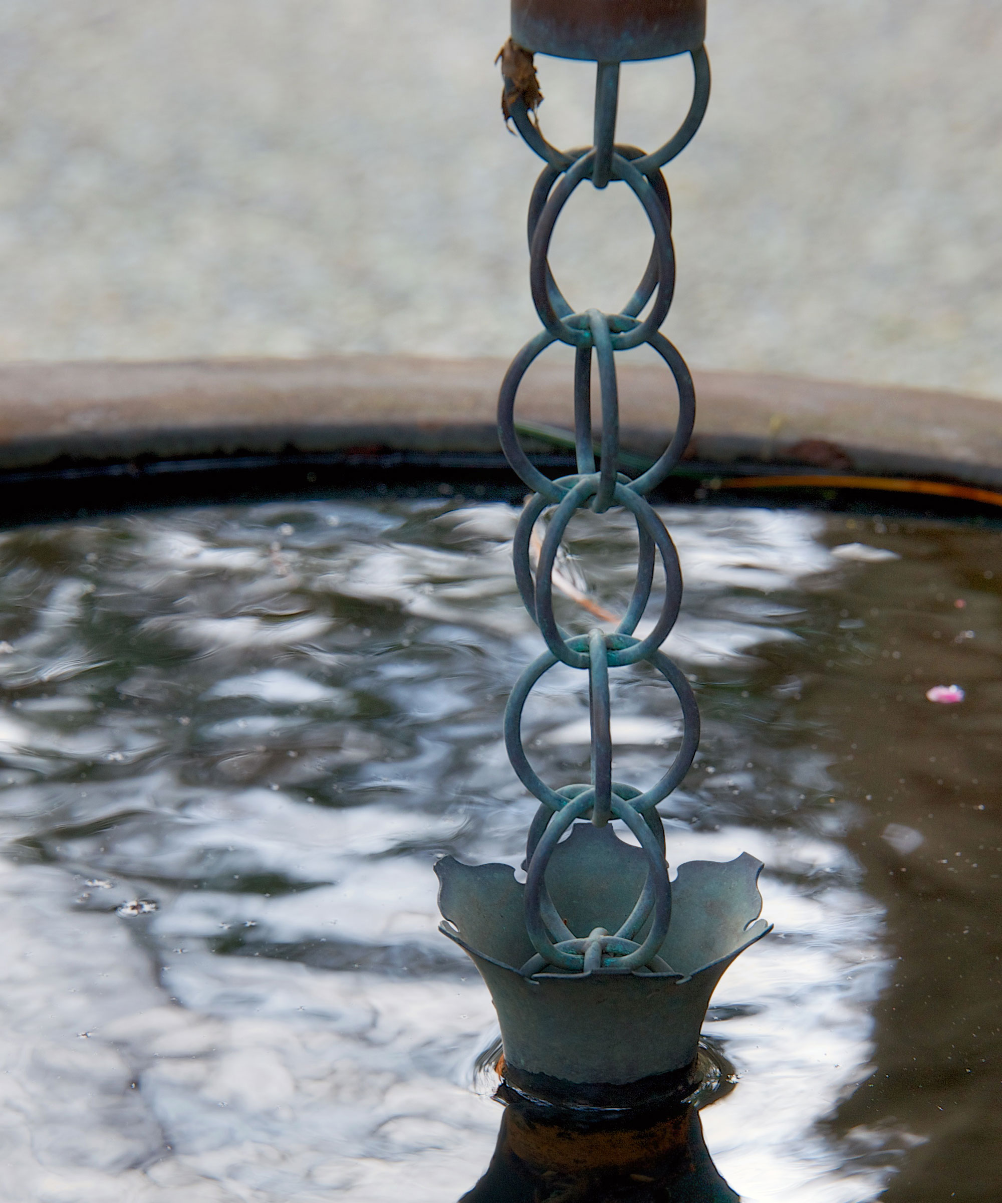 rain chain with flower cup design emptying into rain barrel