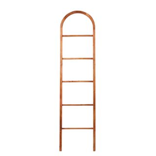 An arched brown ladder 