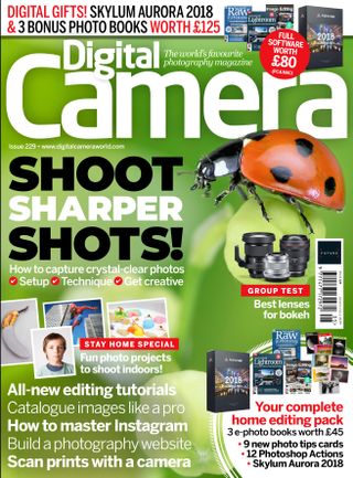 DCam 229 front cover image