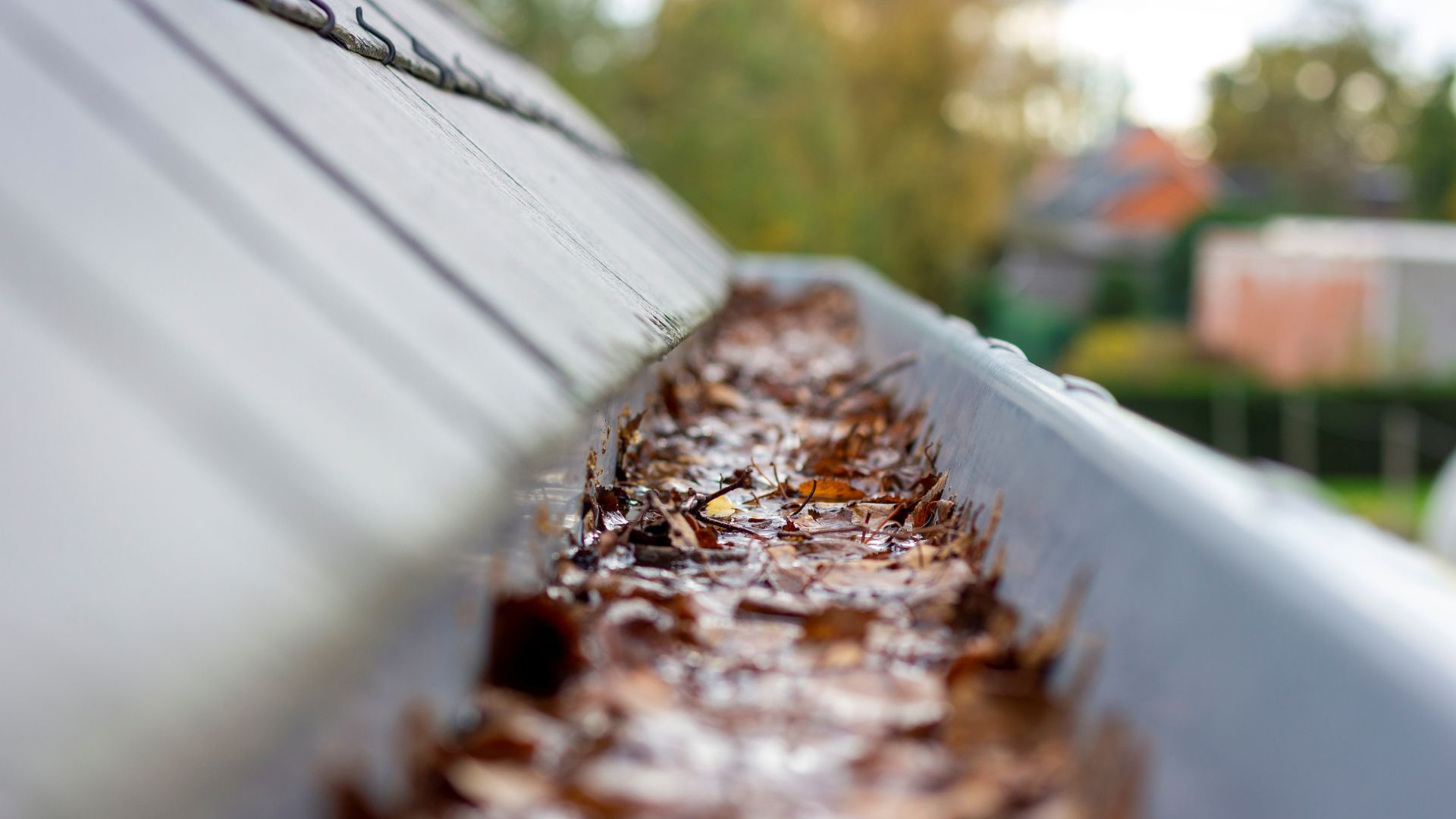 picture of gutter filled with leaves