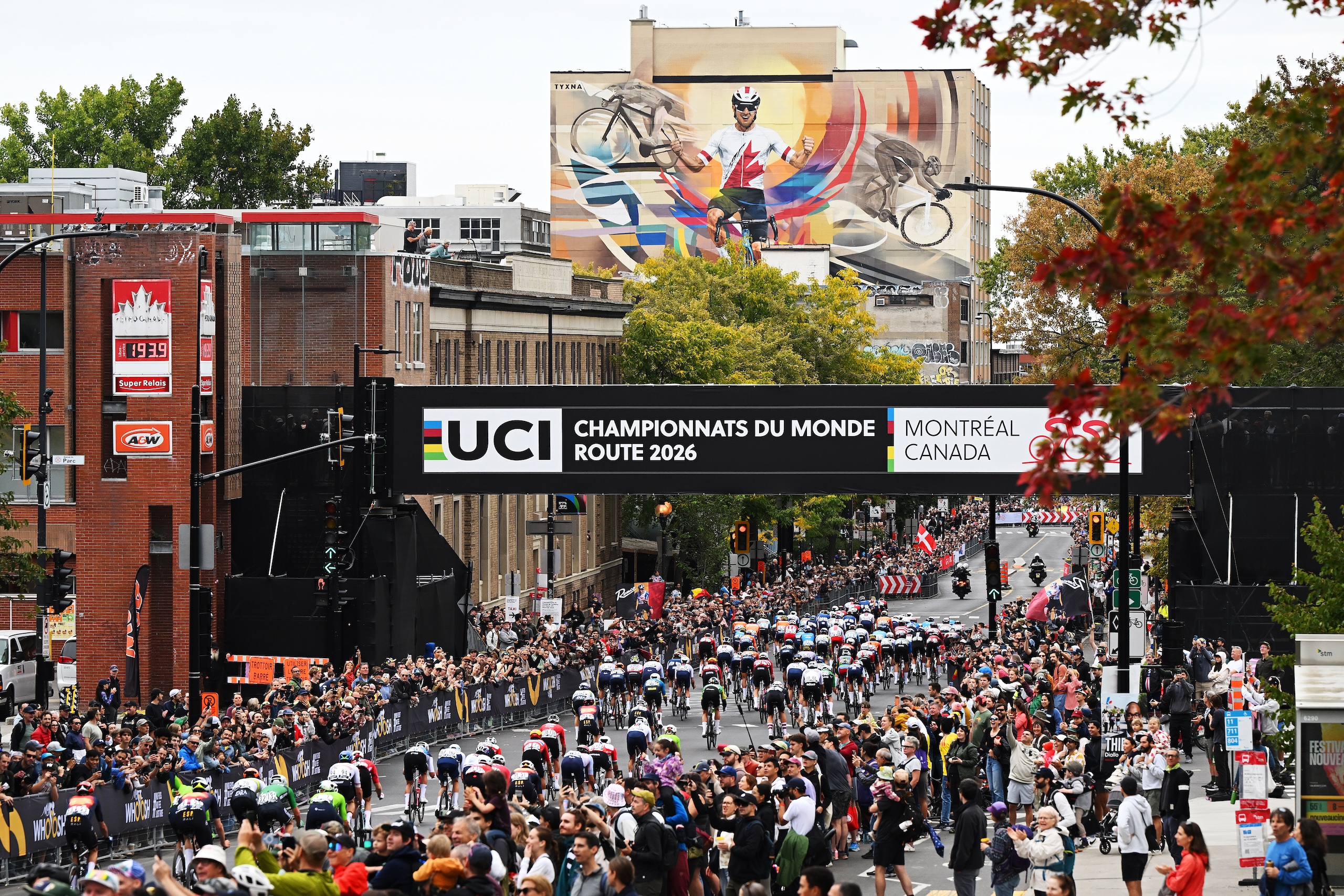 Road World Championships 2026 elite men's road race LIVE - French team setting hard pace in peloton closing down gap to two minutes