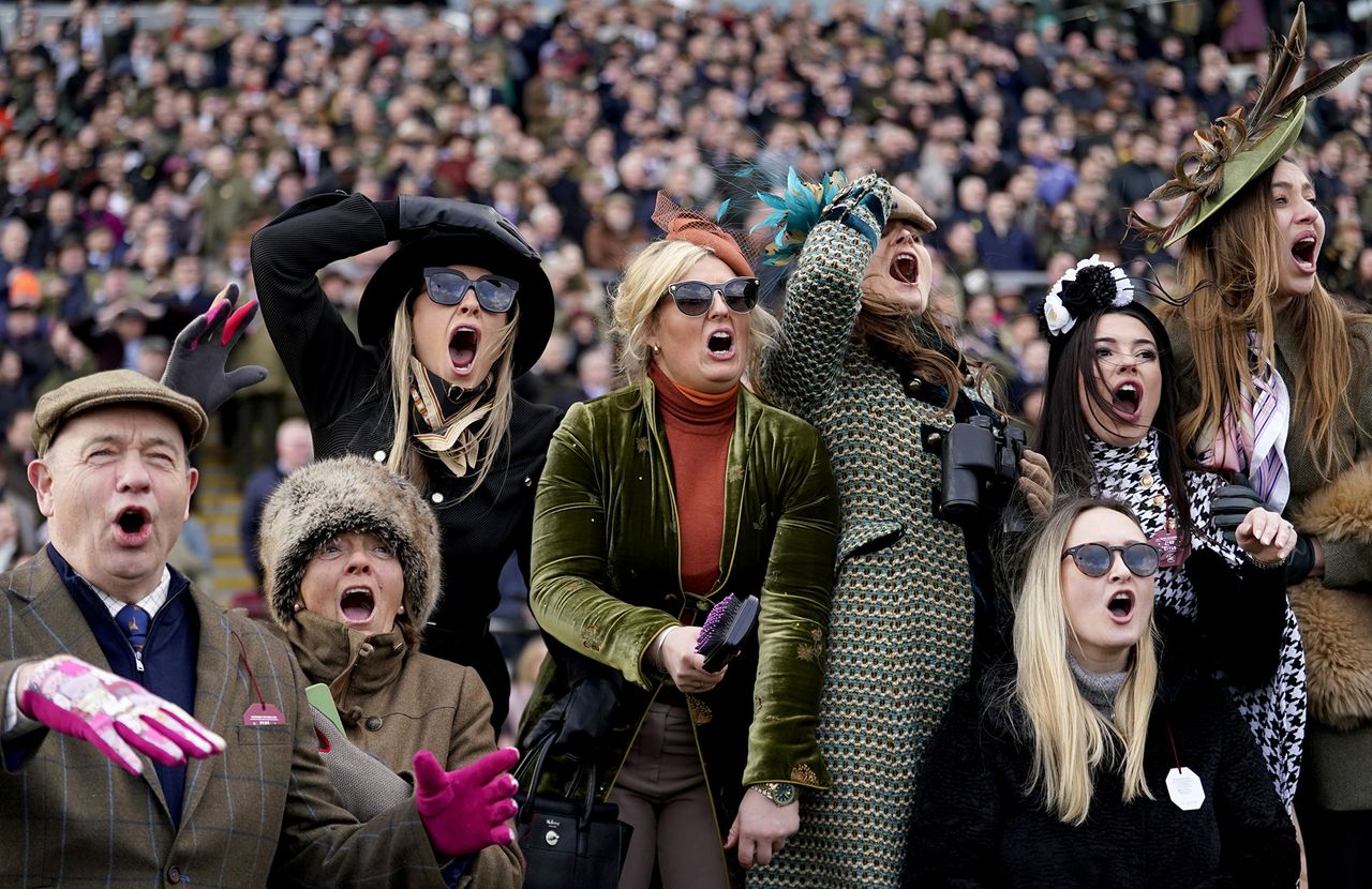 Photo titled Cheering on a Winner, taken by Andrew Matthews. Racegoers react whilst watching the BetMGM Queen Mother Champion Chase on day two of the 2025 Cheltenham Festival at Cheltenham Racecourse.