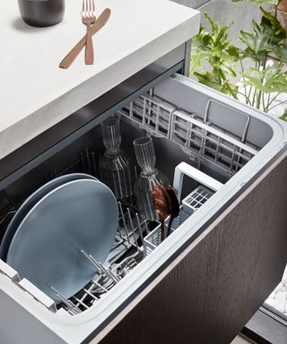 a dishwasher in a modern kitchen