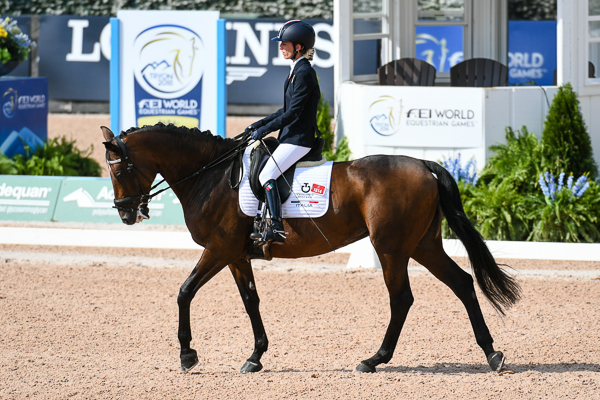 ROYAL DELIGHT_WEG18_PN18_136038