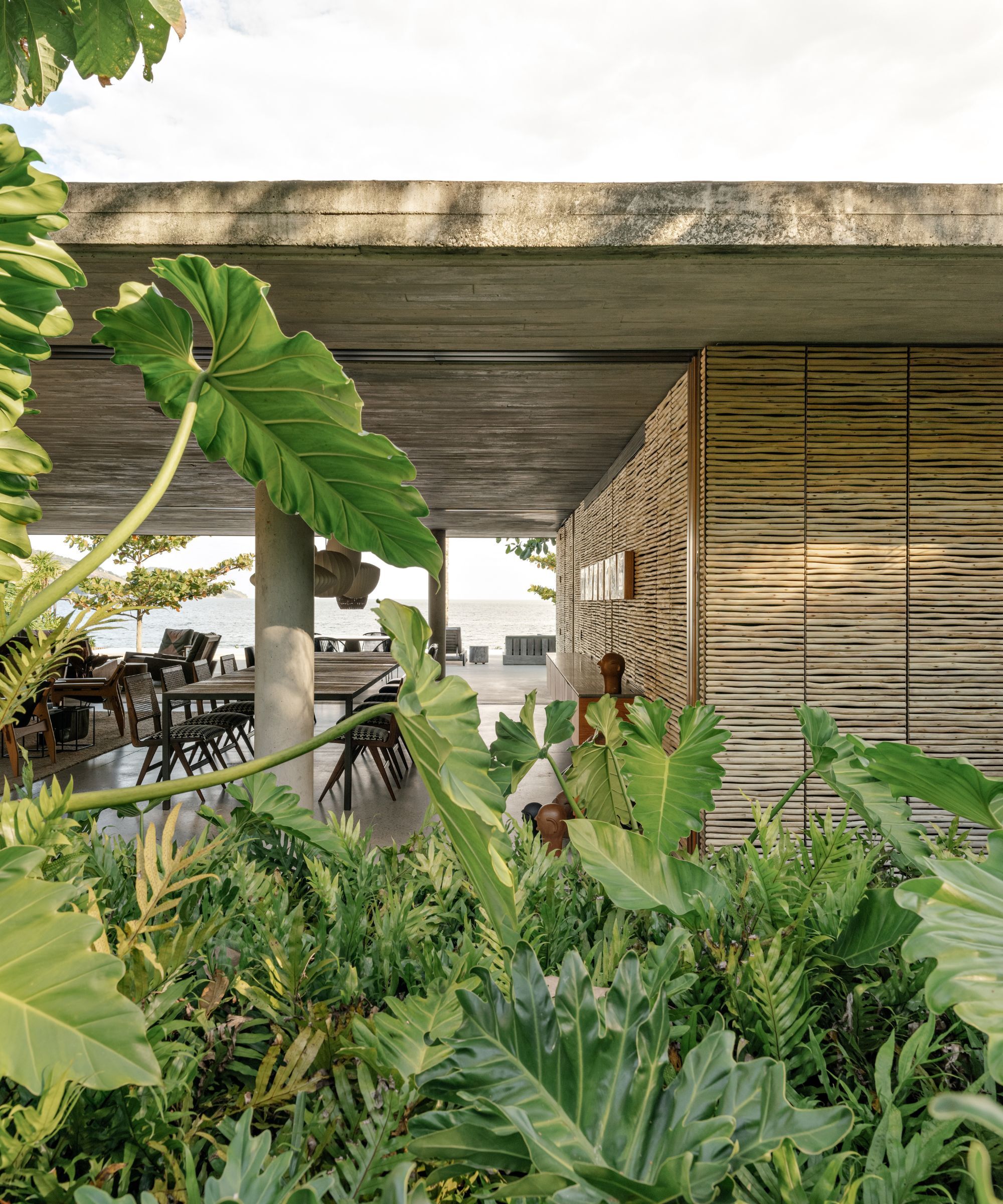Tropical garden